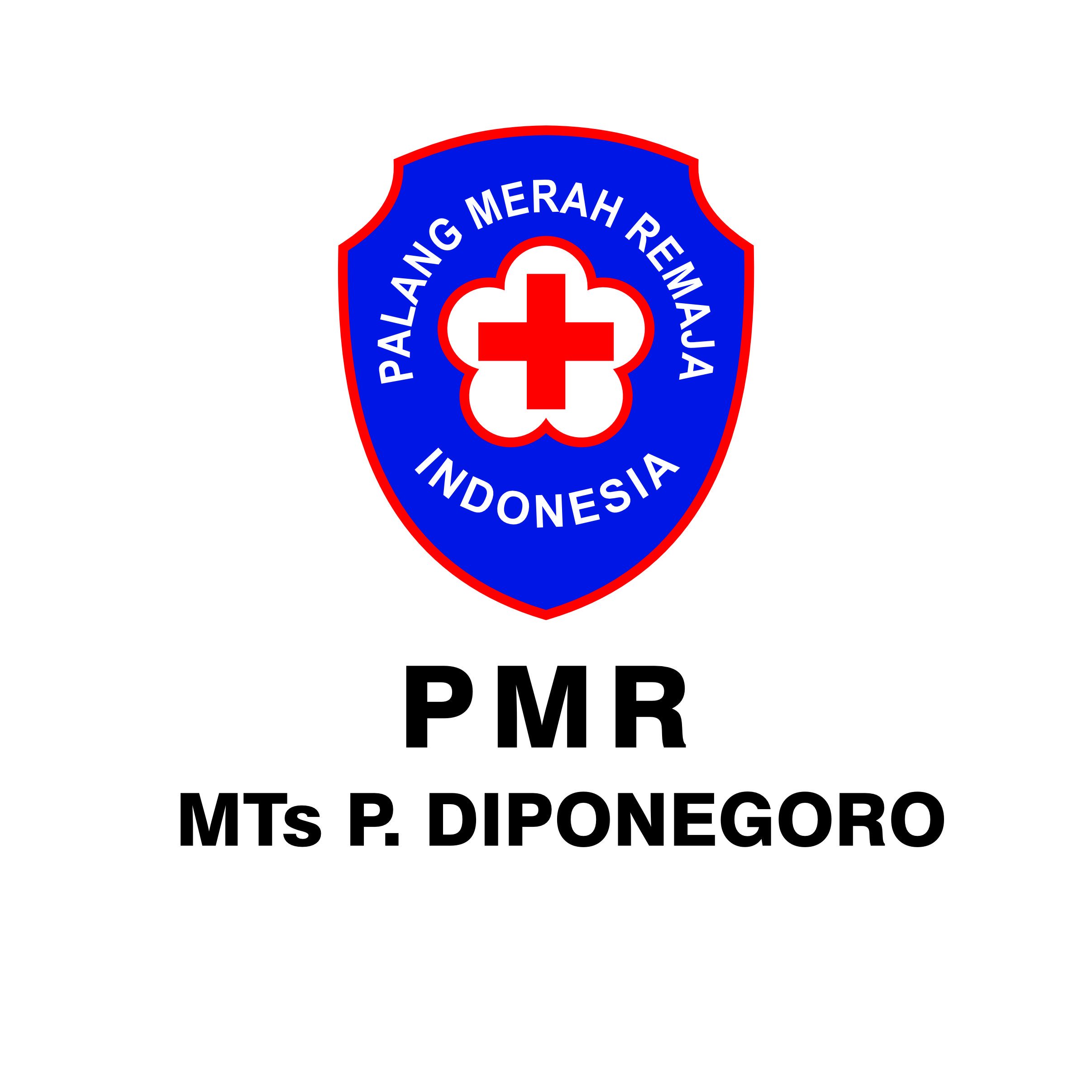 pmr